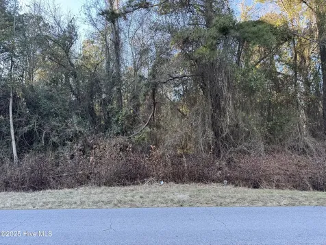 00 New Hope Church Road Turkey NC 28393