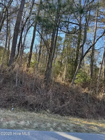 00 New Hope Church Road Turkey NC 28393