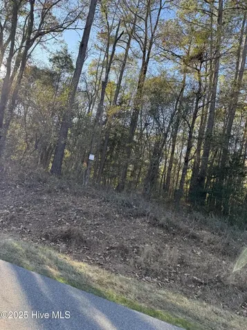 00 New Hope Church Road Turkey NC 28393