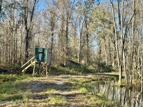 0 Near 5727 Red Hill Whiteville NC 28472