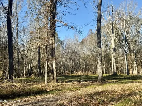 0 Near 5727 Red Hill Whiteville NC 28472