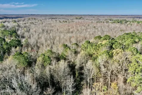 0 Near 5727 Red Hill Whiteville NC 28472