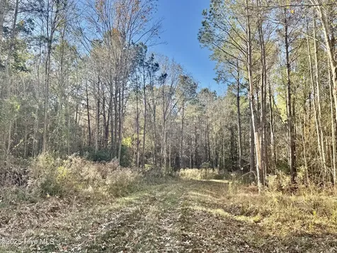 0 Near 5727 Red Hill Whiteville NC 28472
