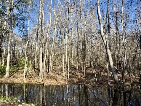 0 Near 5727 Red Hill Whiteville NC 28472