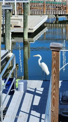142 Greensboro Street Holden Beach NC 28462