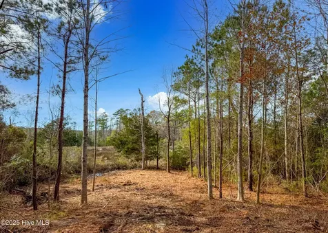 230 Kings Creek Crossing Holly Ridge NC 28445