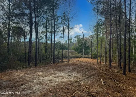 230 Kings Creek Crossing Holly Ridge NC 28445