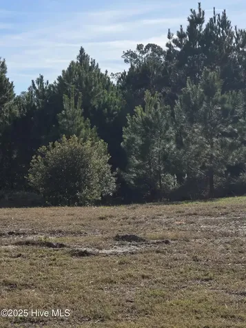 958 Montclair Place SW Sunset Beach NC 28468