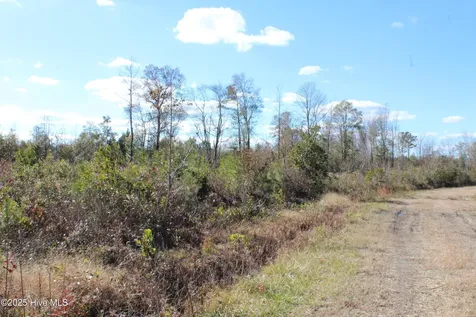 Lot 1 Richlands Road Trenton NC 28585