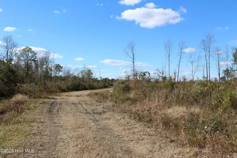 Lot 1 Richlands Road Trenton NC 28585