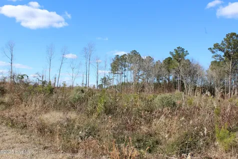 Lot 1 Richlands Road Trenton NC 28585