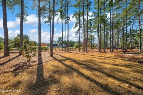 9614 Hidden Plum Road NE Leland NC 28451