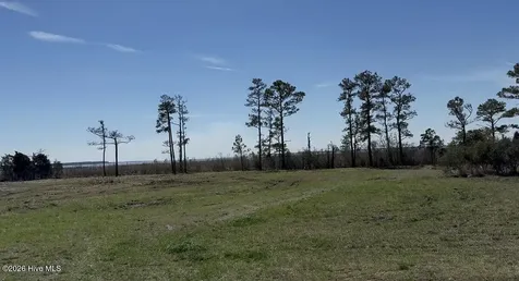 342 Battalina Lane Belhaven NC 27810