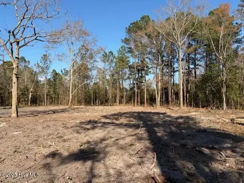 4403 Smith Trail NE Leland NC 28451