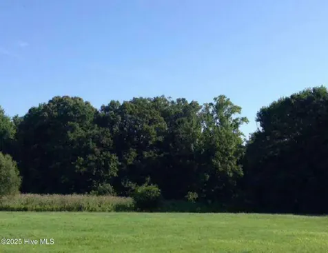 327 Acres Hertford NC 27944