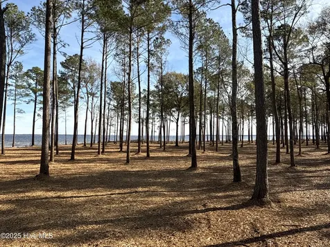 0 Norfleet Shores Road Belhaven NC 27810