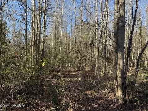 4758 Princess Ann Road Chadbourn NC 28431