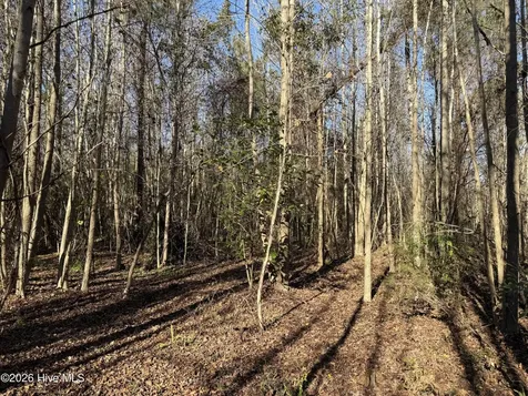 4758 Princess Ann Road Chadbourn NC 28431