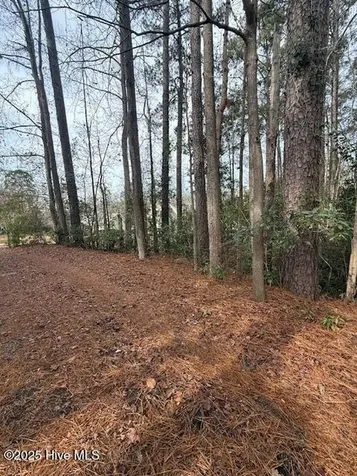 8 North Drive Rocky Point NC 28457