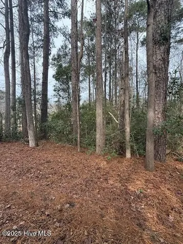 8 North Drive Rocky Point NC 28457