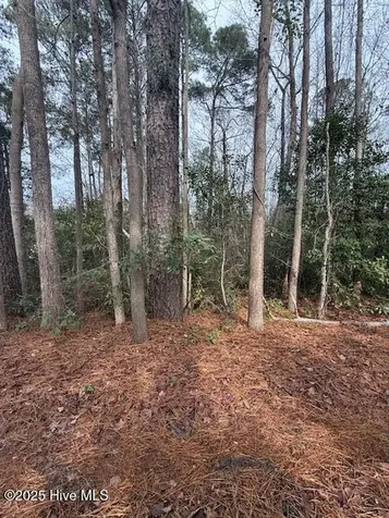 8 North Drive Rocky Point NC 28457