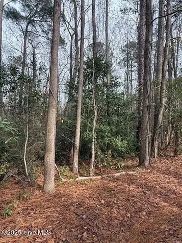 8 North Drive Rocky Point NC 28457
