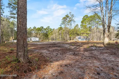 Lot 10 Dorado Lane Boiling Spring Lakes NC 28461