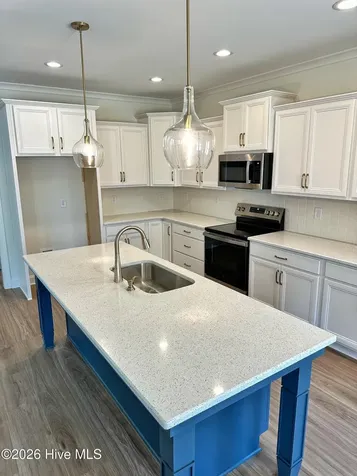 204 N Tamassee Lane Beaufort NC 28516