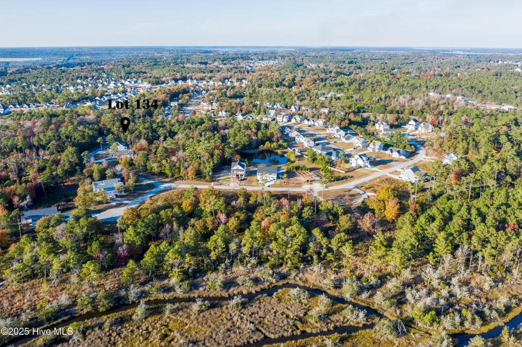348 Landon Lane Sneads Ferry NC 28460