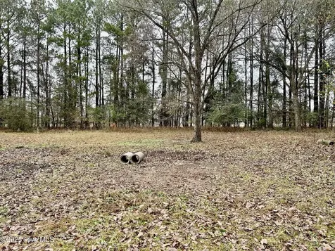 14081 Oil Mill Road Gibson NC 28343