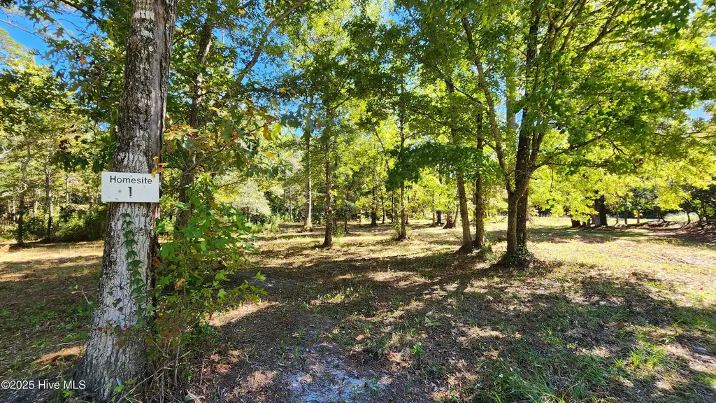 112 Sandy Point Drive Beaufort NC 28516