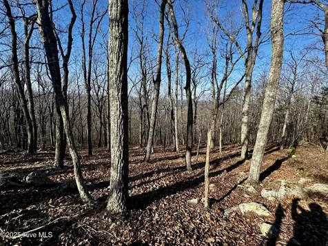 2389 Sierra Trace Road Denton NC 27239