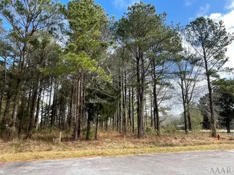 0 New Road Columbia NC 27925