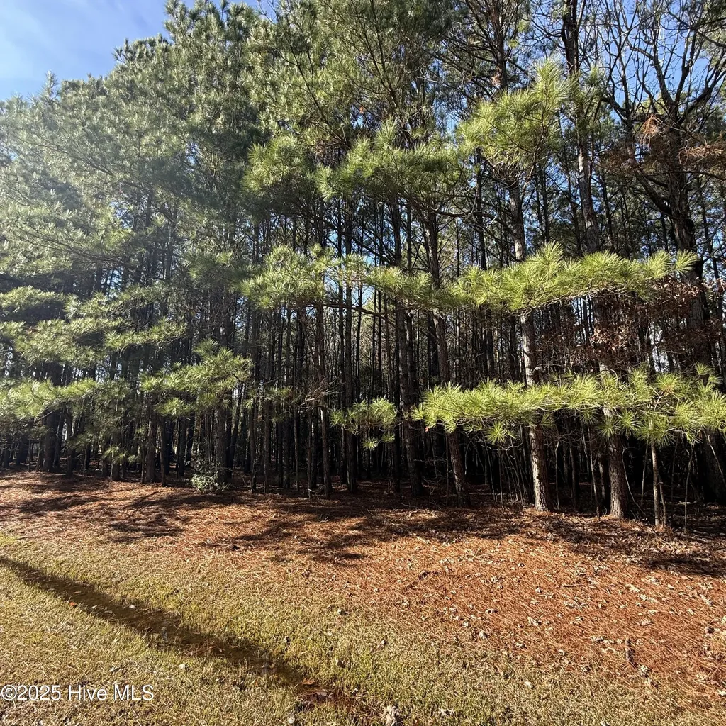 113 Wilson Way Hertford NC 27944