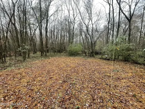 00 Gurman Powell Road Kenansville NC 28349