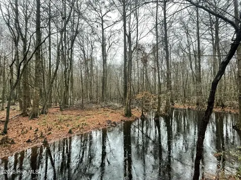 00 Gurman Powell Road Kenansville NC 28349