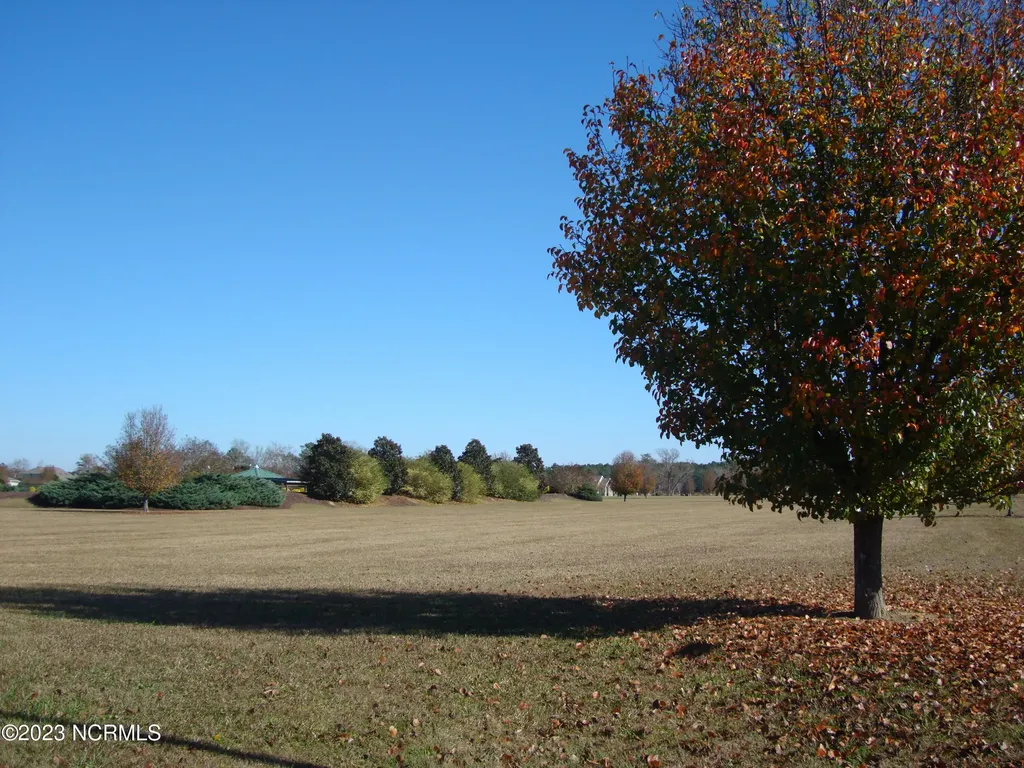 21 Meadow Lane Arapahoe NC 28510