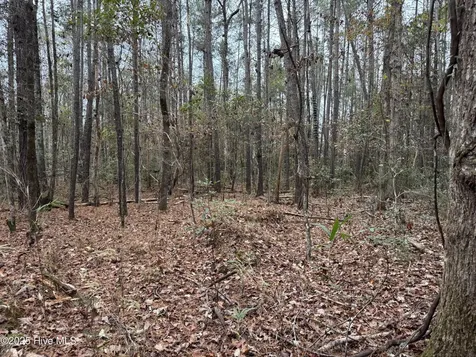 0 Near 715 Nc Highway 133 Rocky Point NC 28457