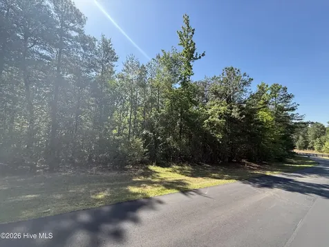 114 Lake View Pass Rockingham NC 28379