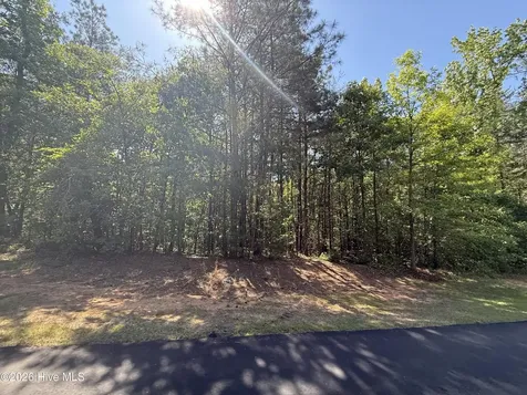 114 Lake View Pass Rockingham NC 28379