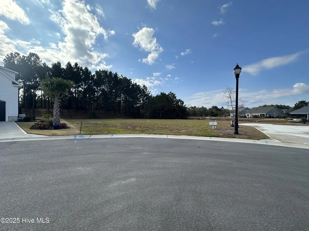 2216 Palm Pointe NE Leland NC 28451
