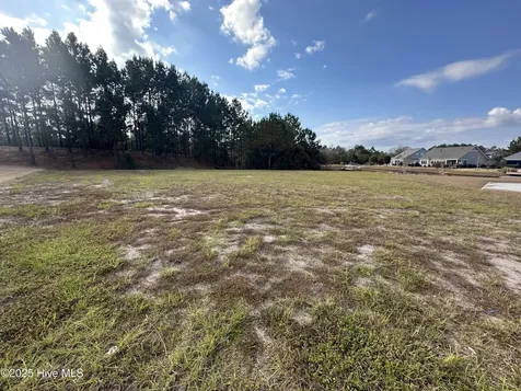 2216 Palm Pointe NE Leland NC 28451
