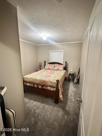 9701 Penderlea Highway Willard NC 28478