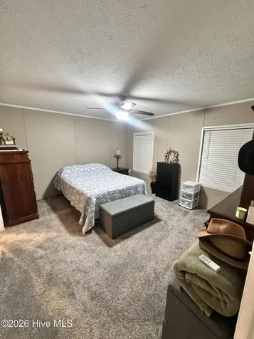 9701 Penderlea Highway Willard NC 28478