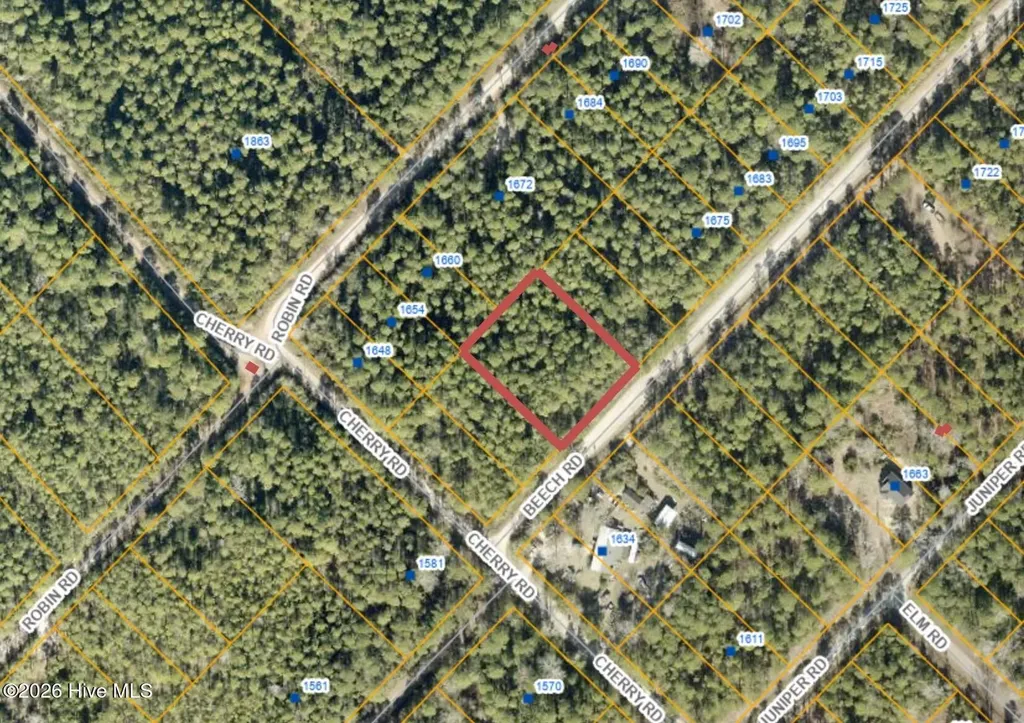 73 Acres Beech Road Boiling Spring Lakes NC 28461