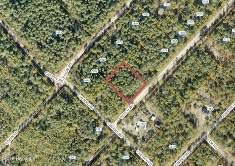 73 Acres Beech Road Boiling Spring Lakes NC 28461