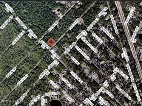 73 Acres Beech Road Boiling Spring Lakes NC 28461