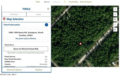 73 Acres Beech Road Boiling Spring Lakes NC 28461