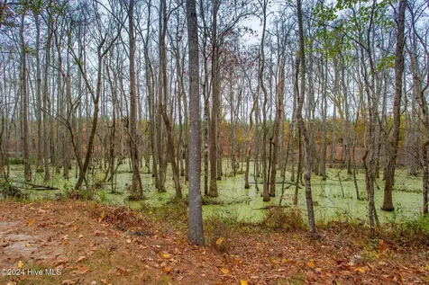168 Highland Pony Drive Hertford NC 27944