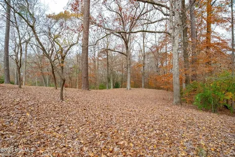 203 W Woodlawn Drive Williamston NC 27892